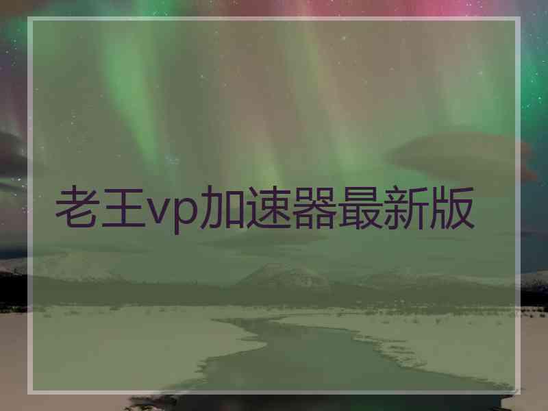 老王vp加速器最新版