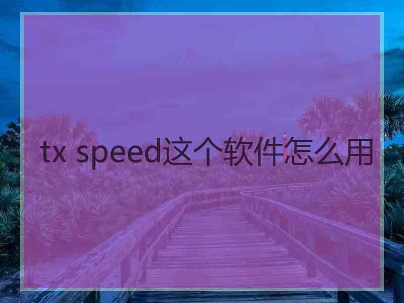 tx speed这个软件怎么用