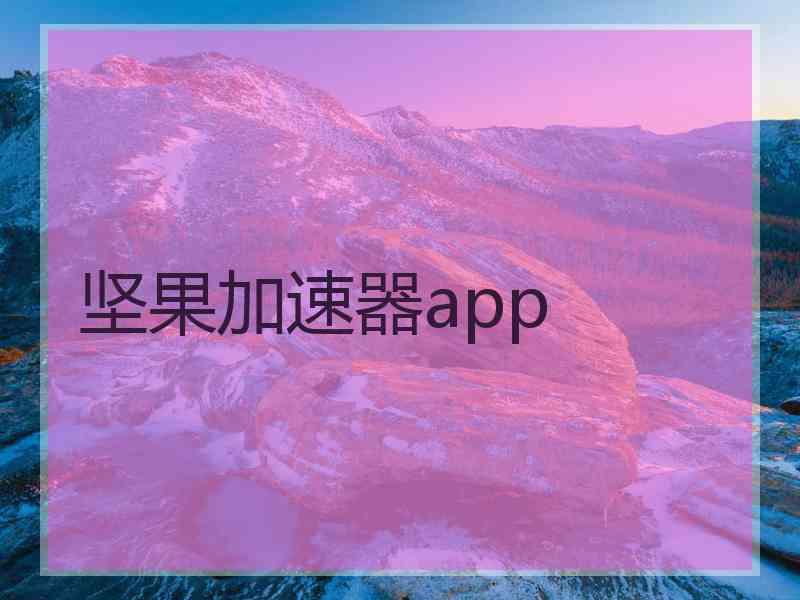 坚果加速器app