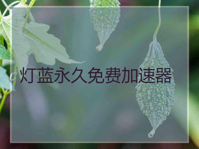 灯蓝永久免费加速器