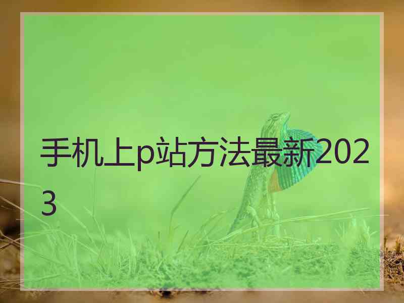 手机上p站方法最新2023