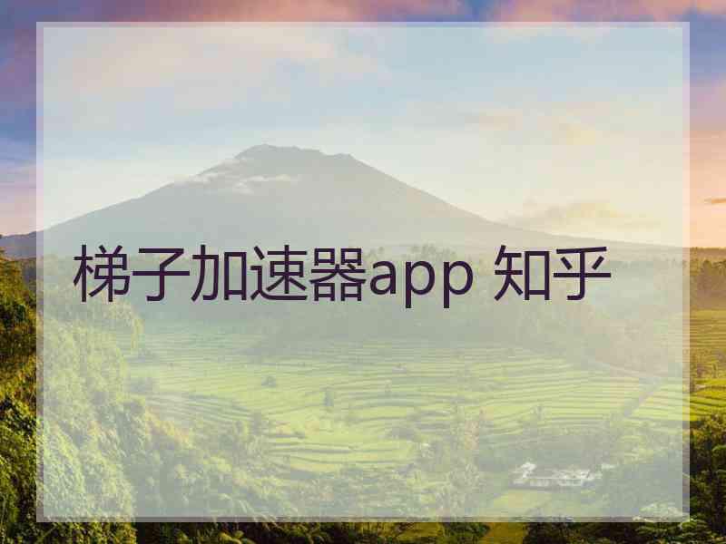 梯子加速器app 知乎