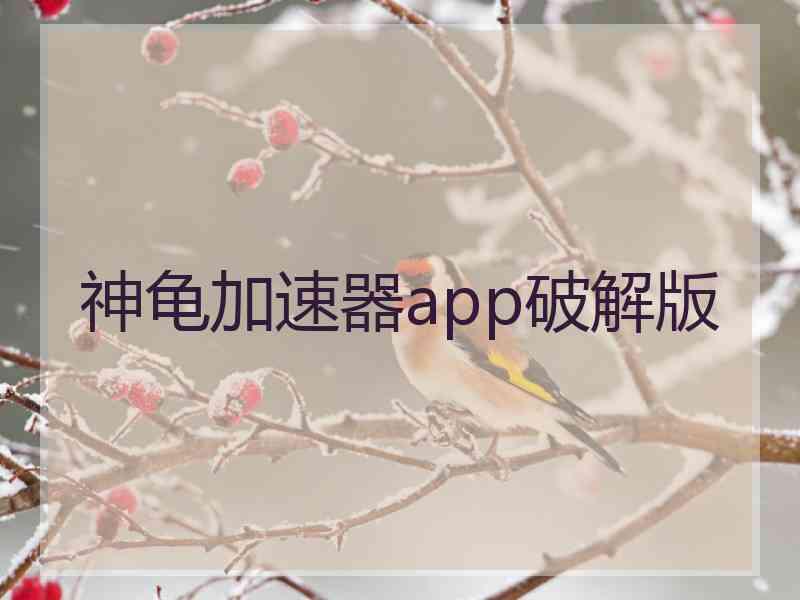 神龟加速器app破解版