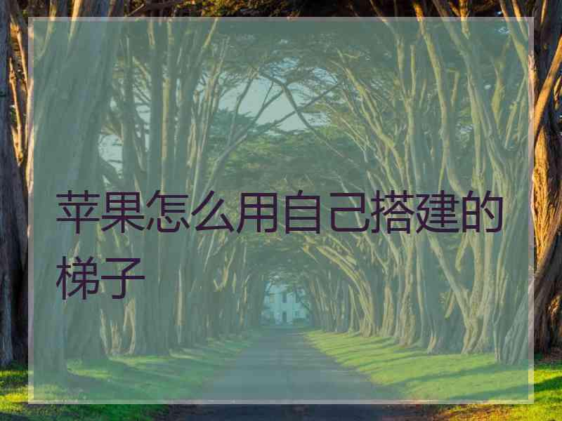 苹果怎么用自己搭建的梯子