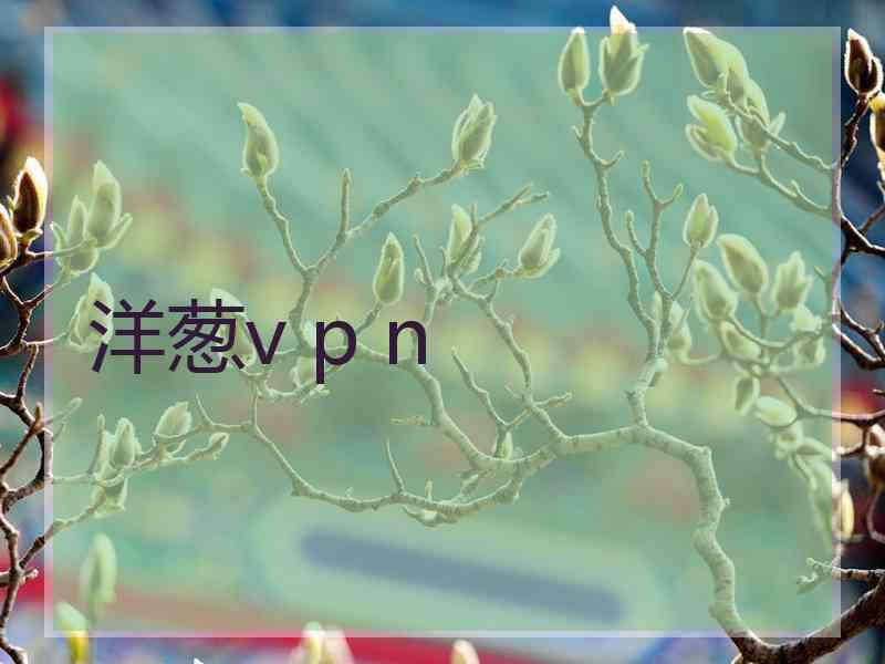 洋葱v p n