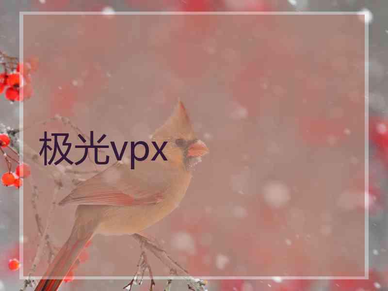 极光vpx