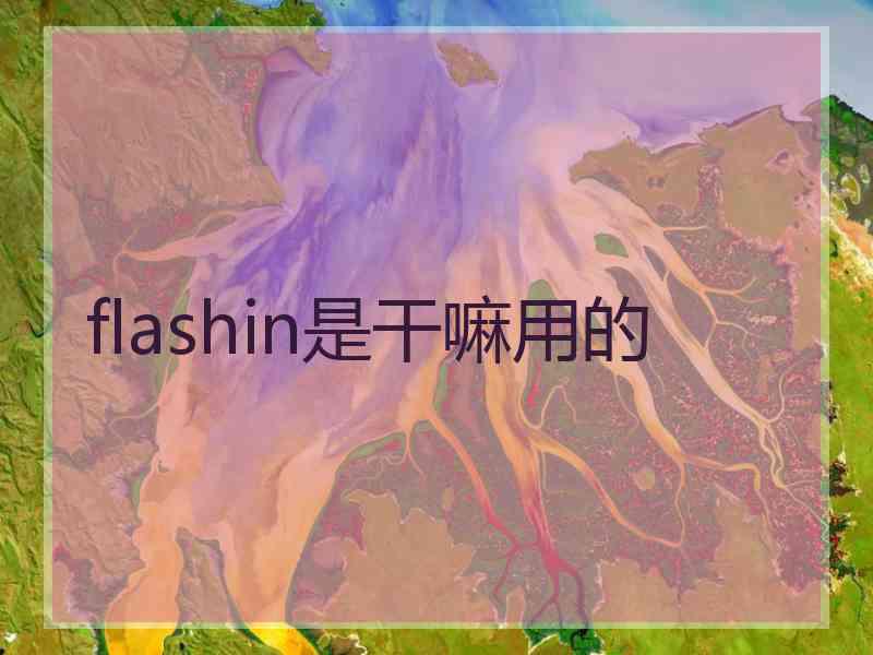 flashin是干嘛用的