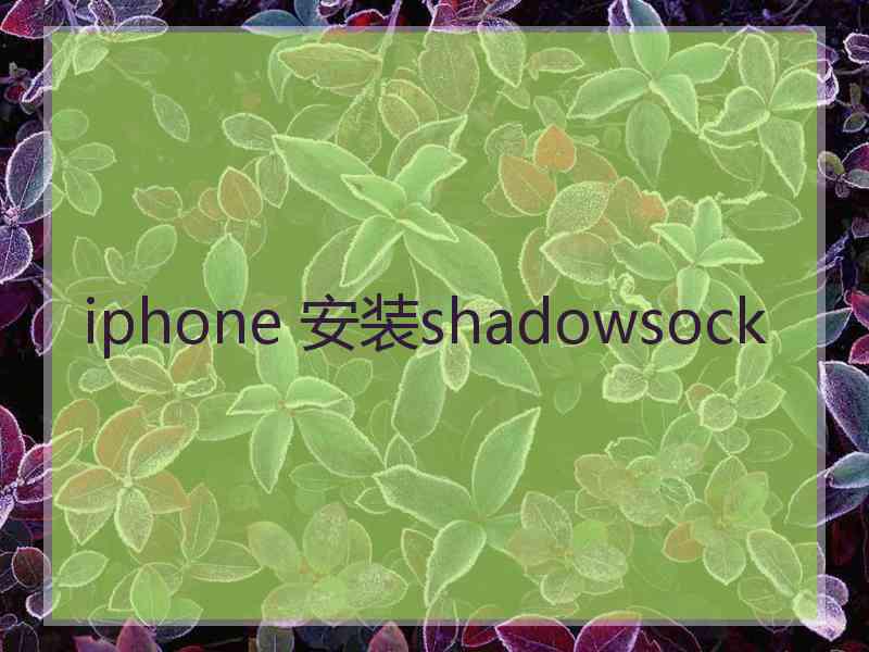 iphone 安装shadowsock