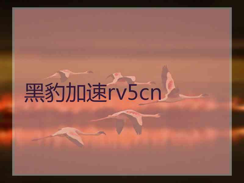 黑豹加速rv5cn