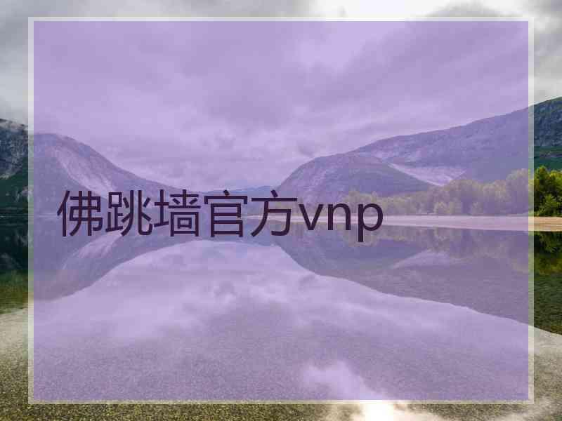 佛跳墙官方vnp