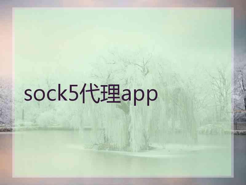 sock5代理app