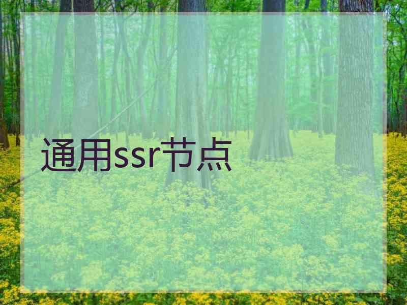 通用ssr节点