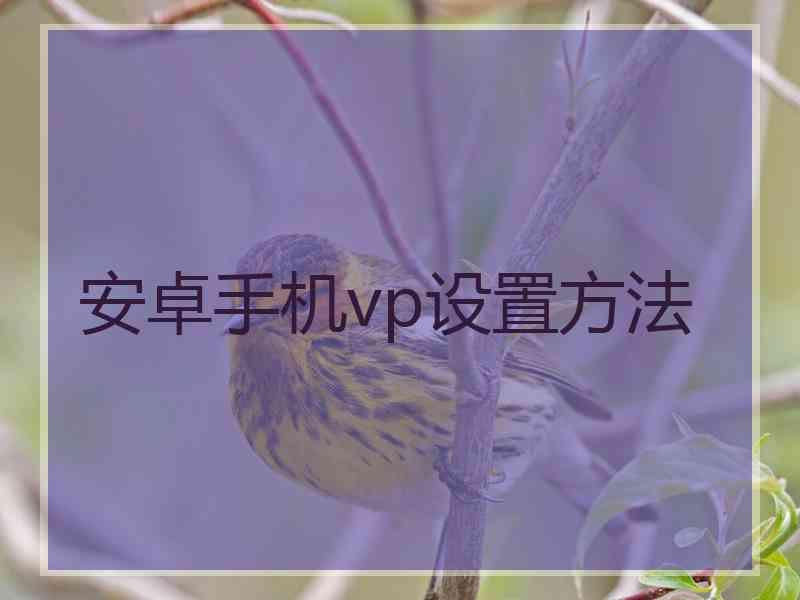 安卓手机vp设置方法