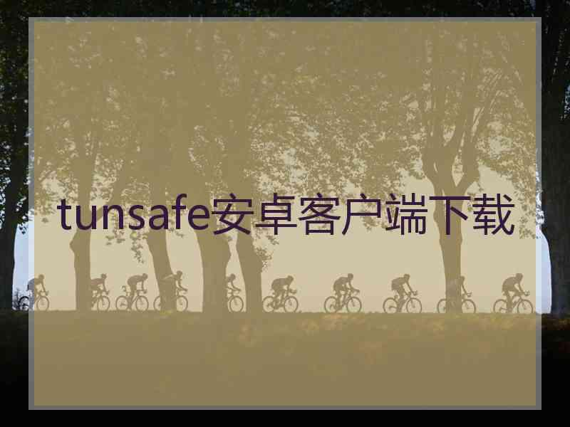 tunsafe安卓客户端下载