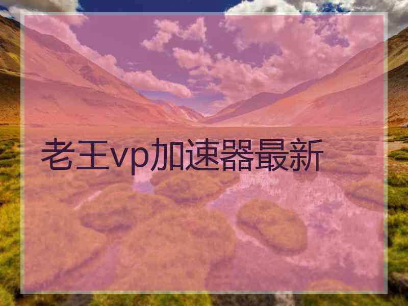 老王vp加速器最新