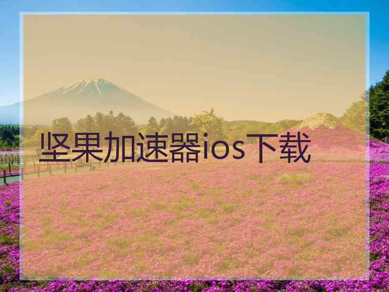 坚果加速器ios下载