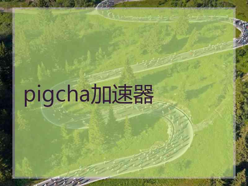 pigcha加速器